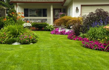 a house with a lawn and flowers in the front yard